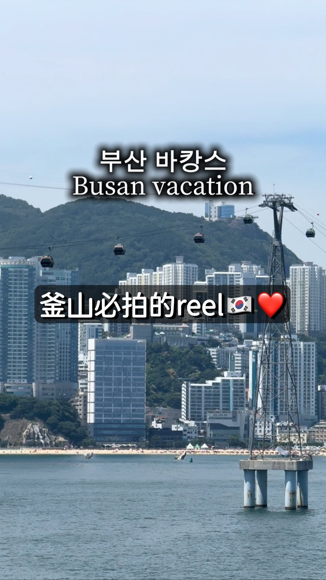 6 Shops in Busan