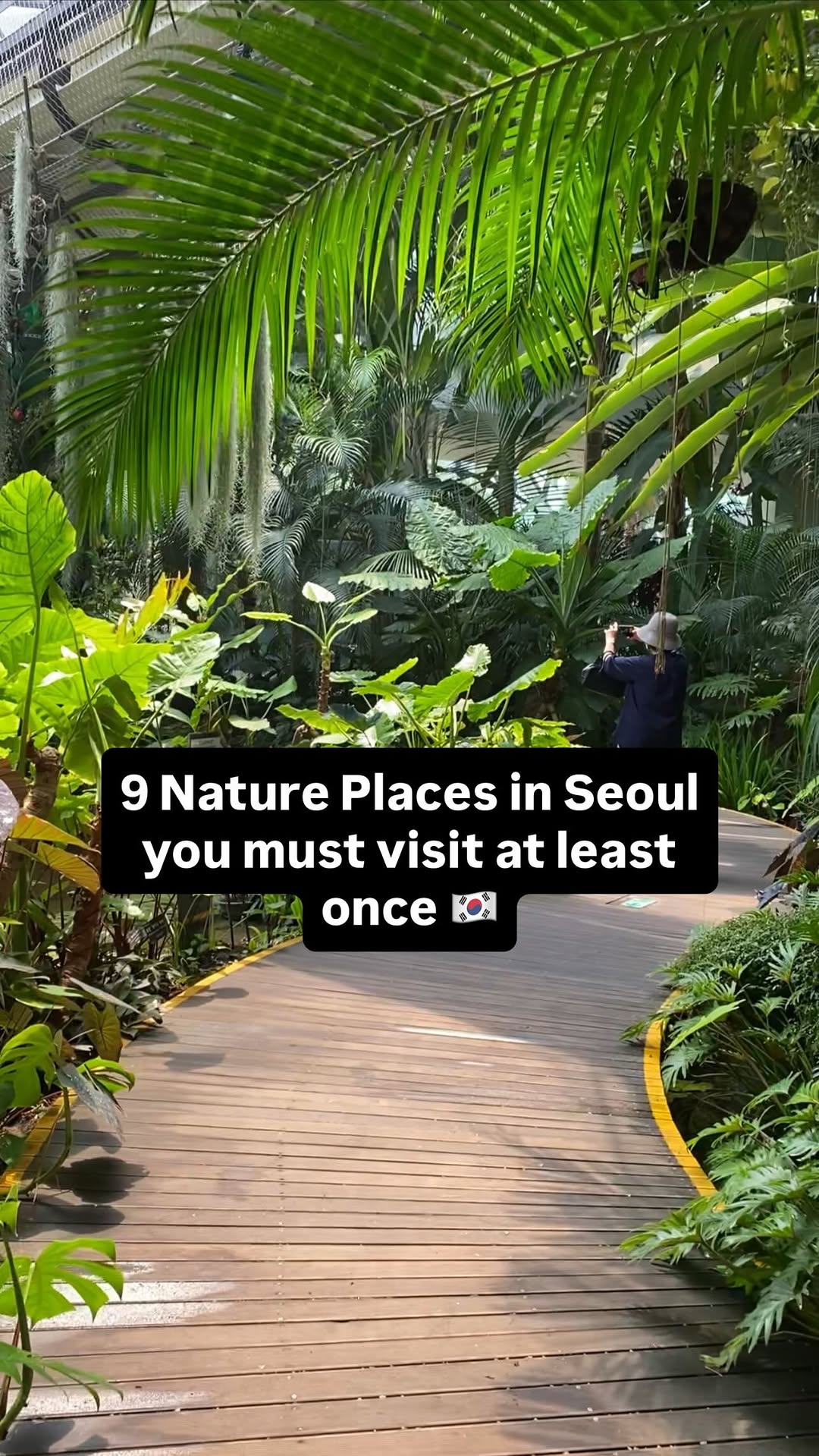 Seoul's Top Nature Spots for Relaxation and Exploration