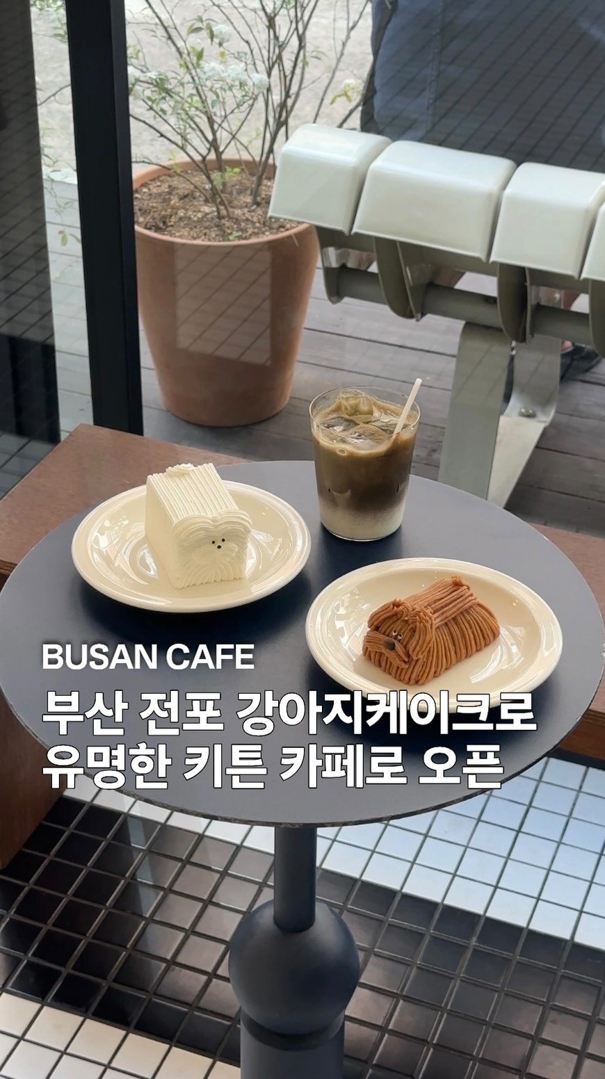 Dog-Friendly Cafes In Busan's Jeonpo Area