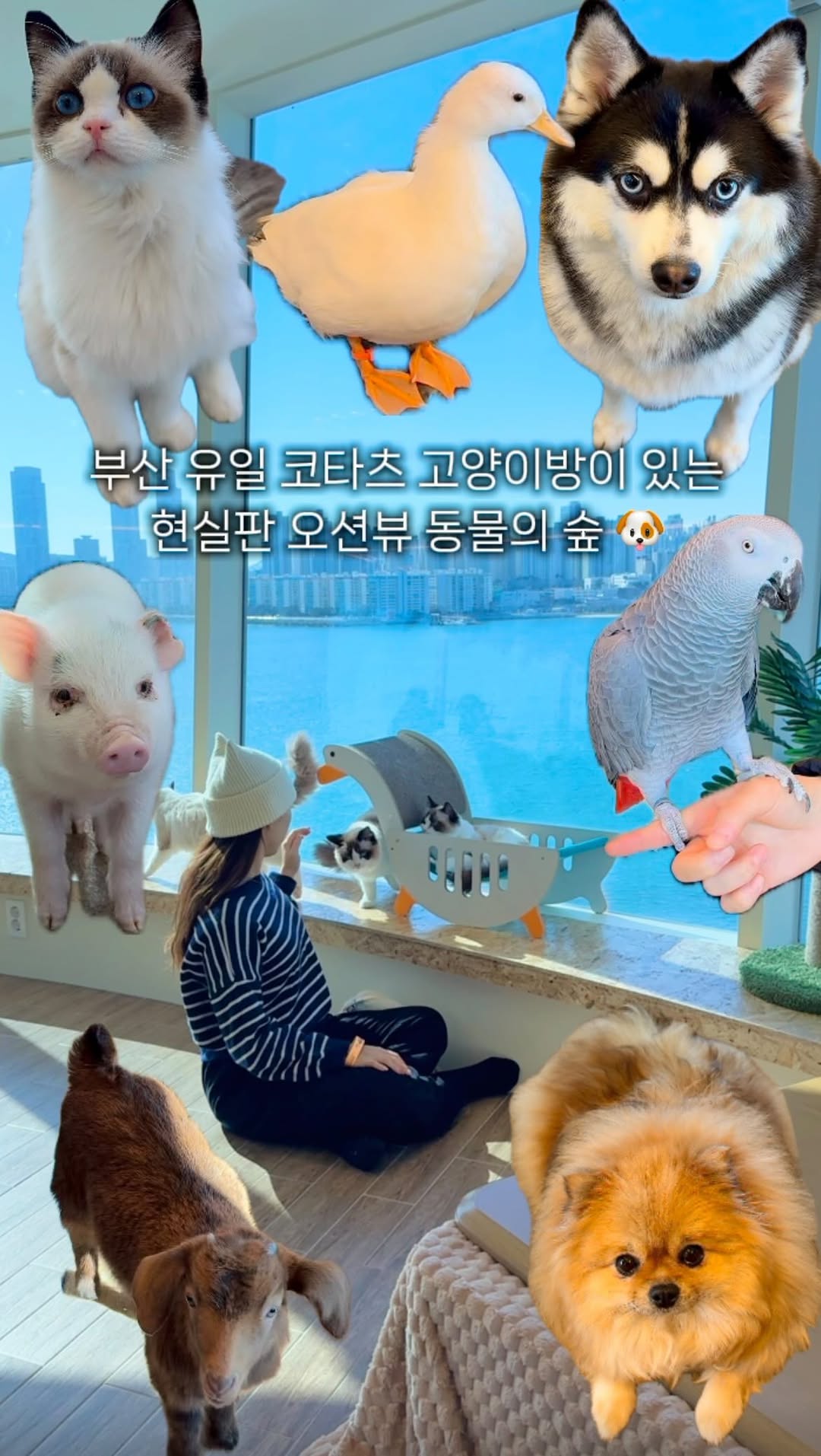 2 Attractions in Busan