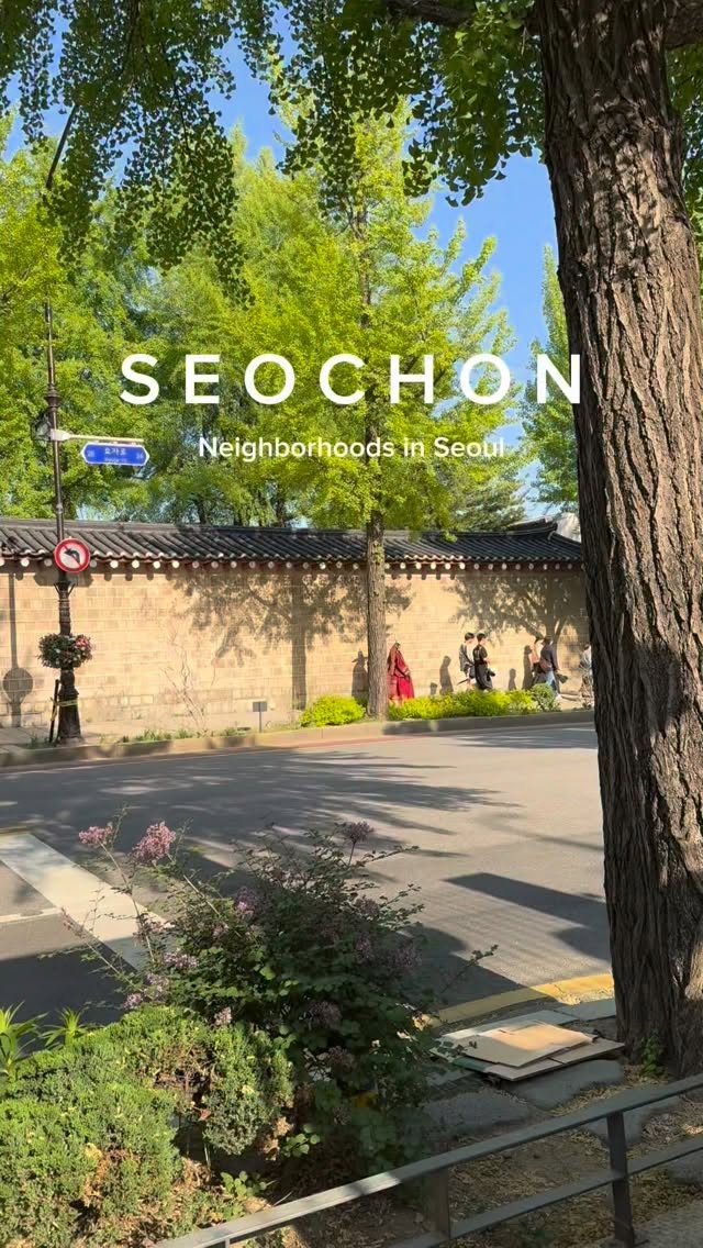 Seochon's Cafes and Mountain Park