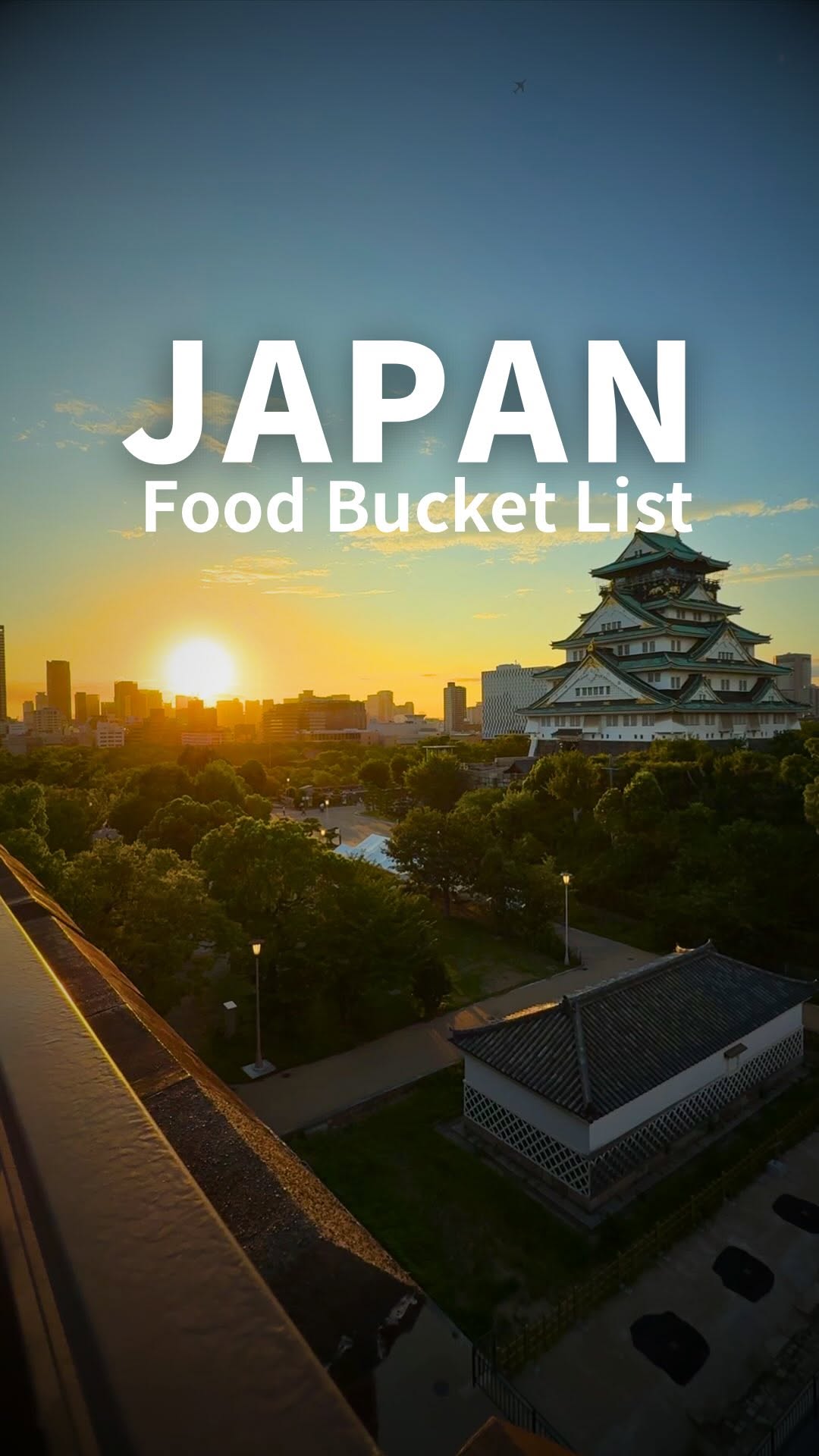 9 Restaurants in Japan