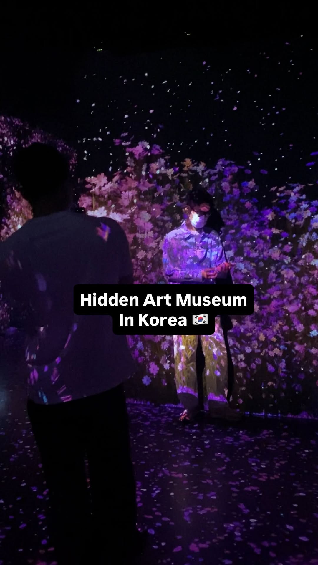 8 Attractions in Gangneung