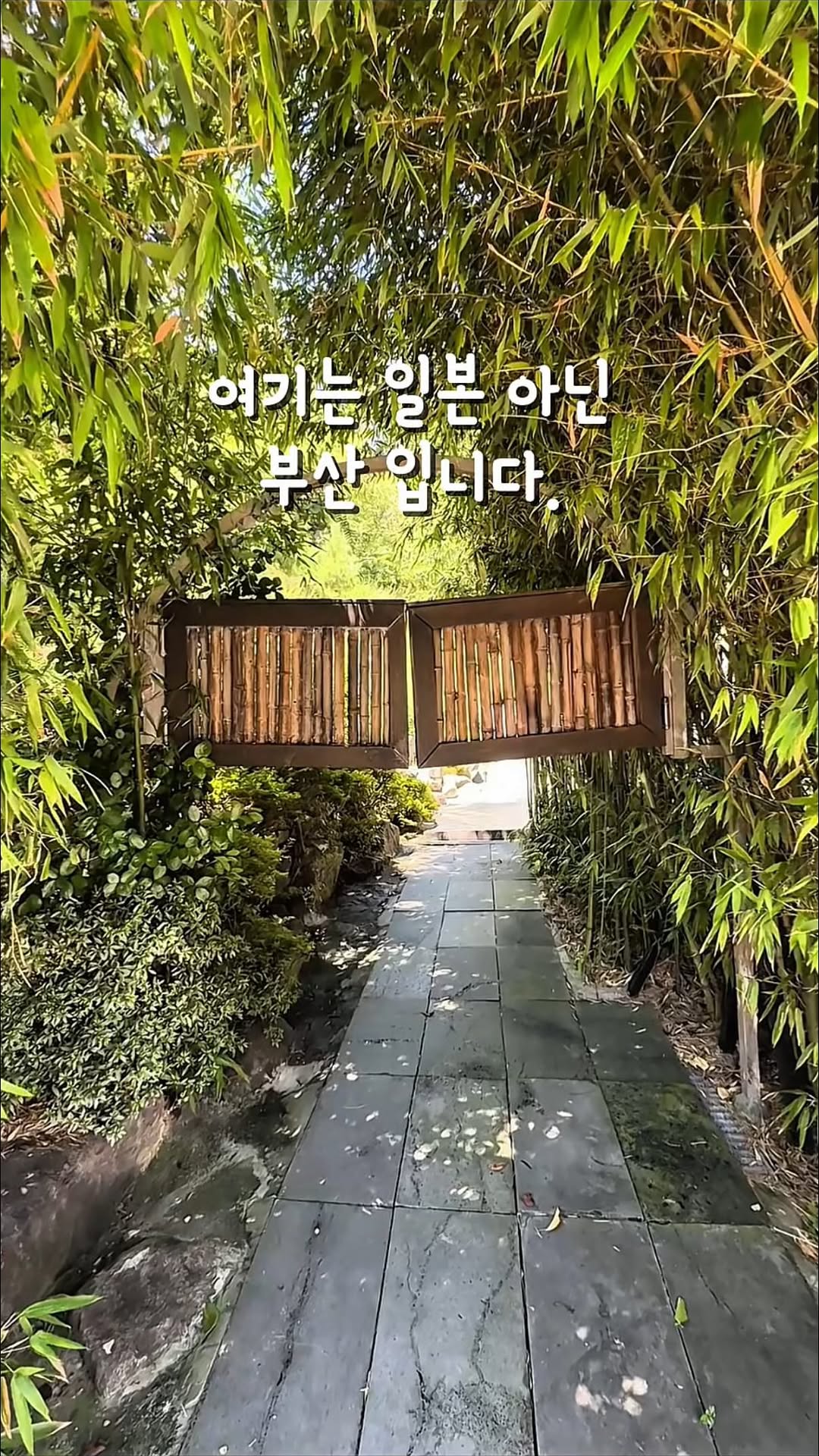 1 Cafes in Busan