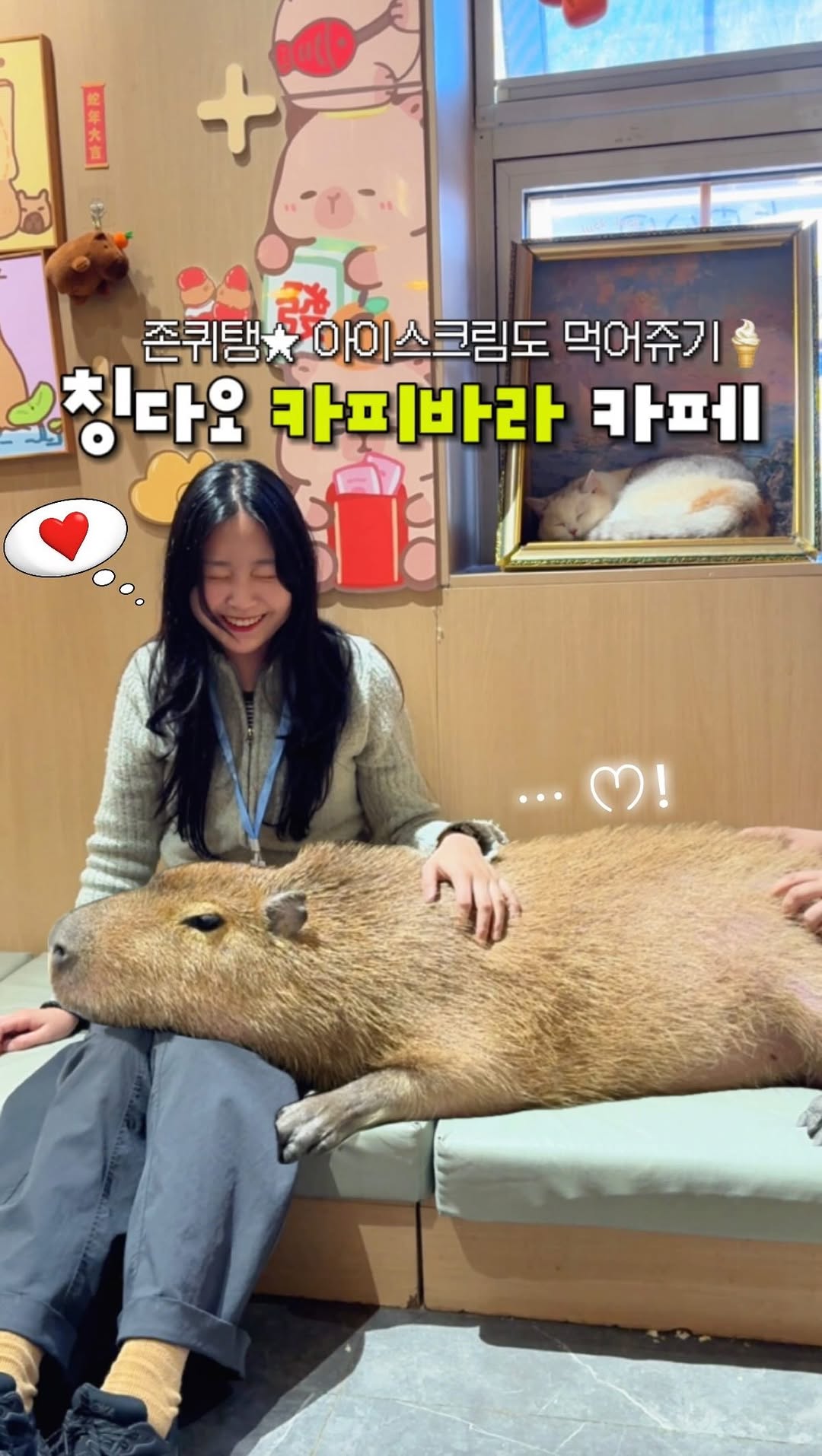 Qingdao Capybara Cafe Features Gentle Capybaras