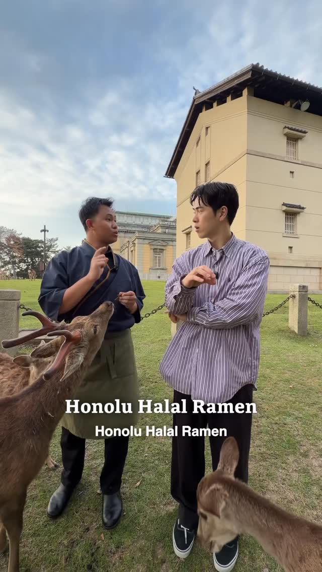 Halal Dining Options Near Nara Stations