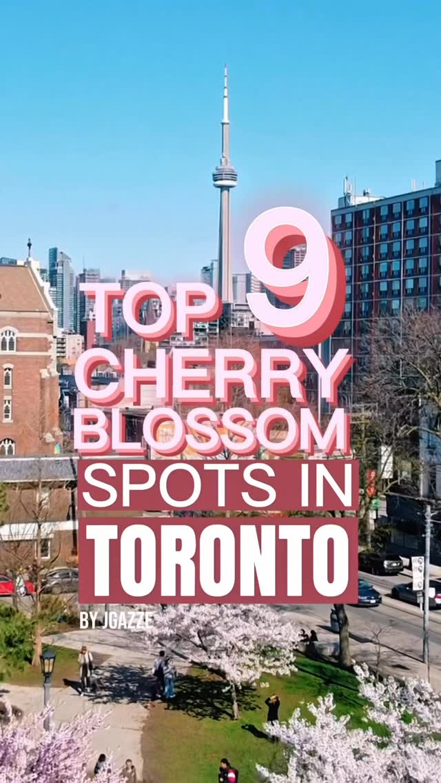 9 Places in Toronto