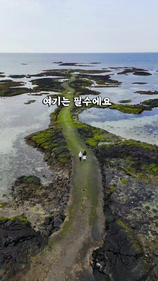 Coastal Trails With Ocean Views In Jeju