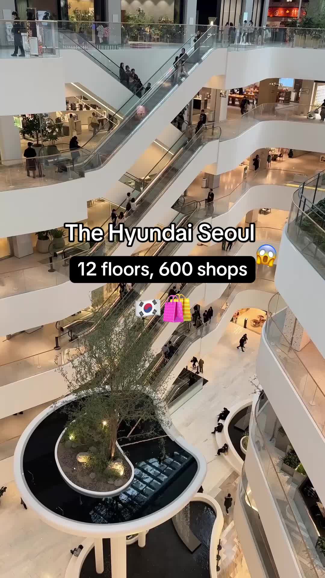 9 Shops in Seoul
