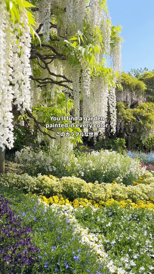 2 Parks in Ashikaga