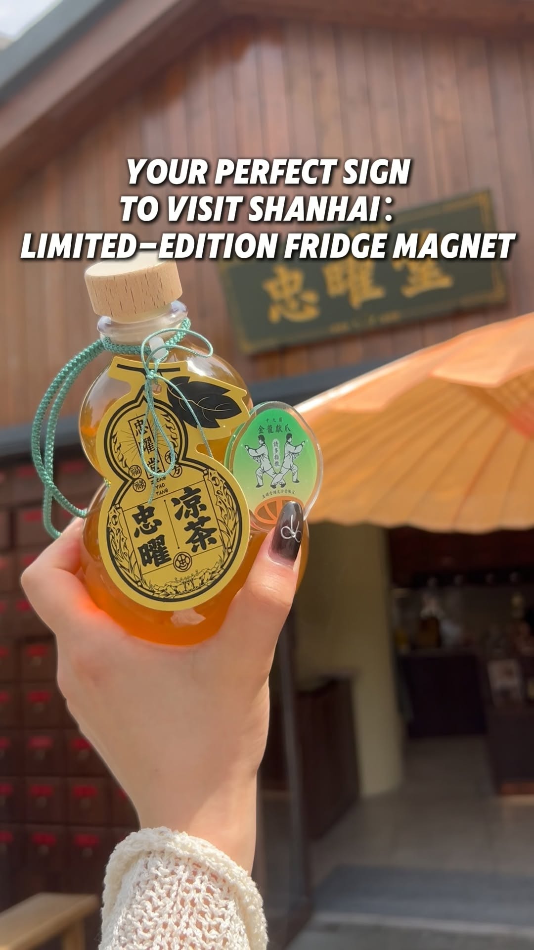 Panlongan: Unique Gelato Flavors and Collectible Magnets