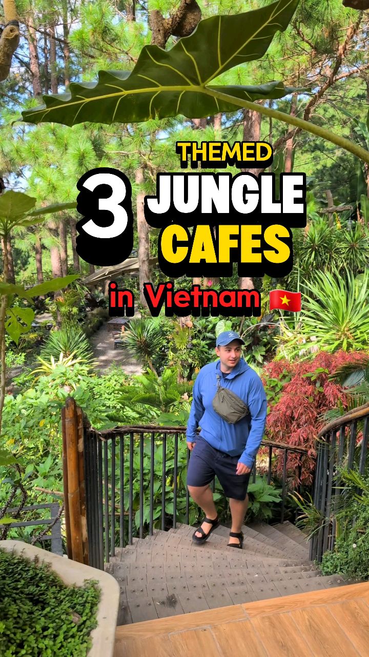 Three Jungle-Themed Cafes in Vietnam