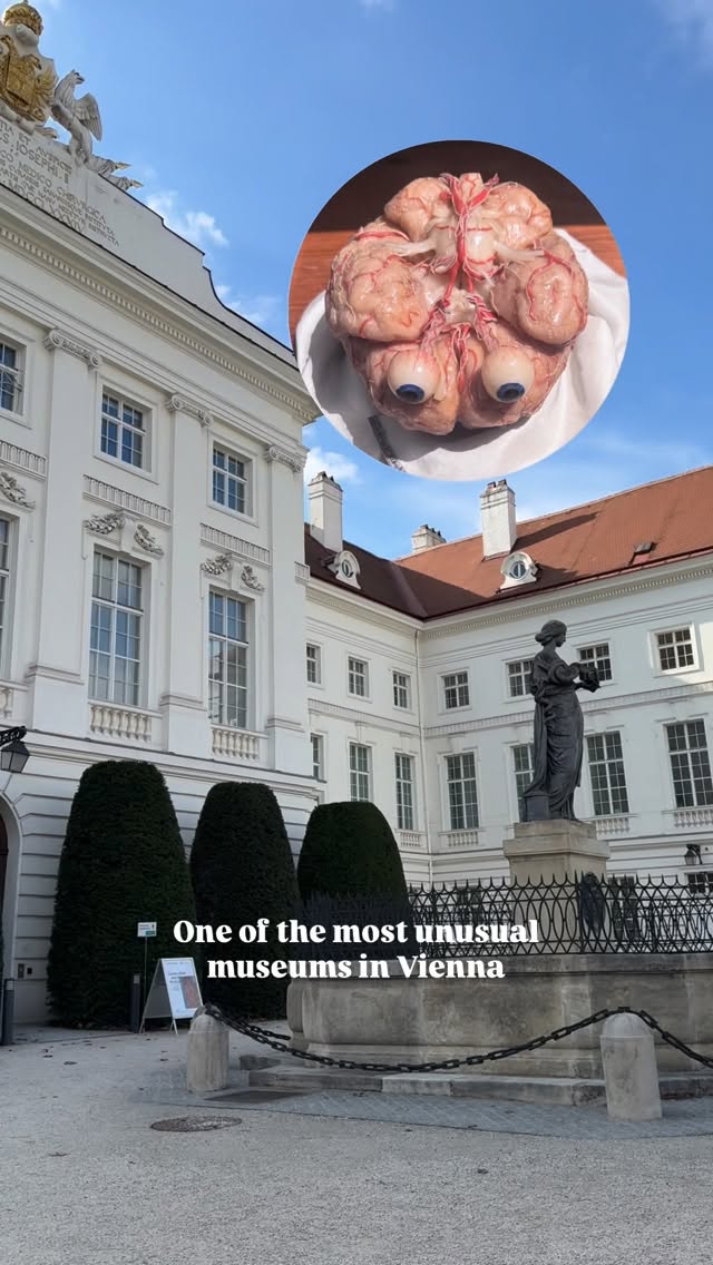 Josephinum: Vienna's Unsettling Anatomical Museum