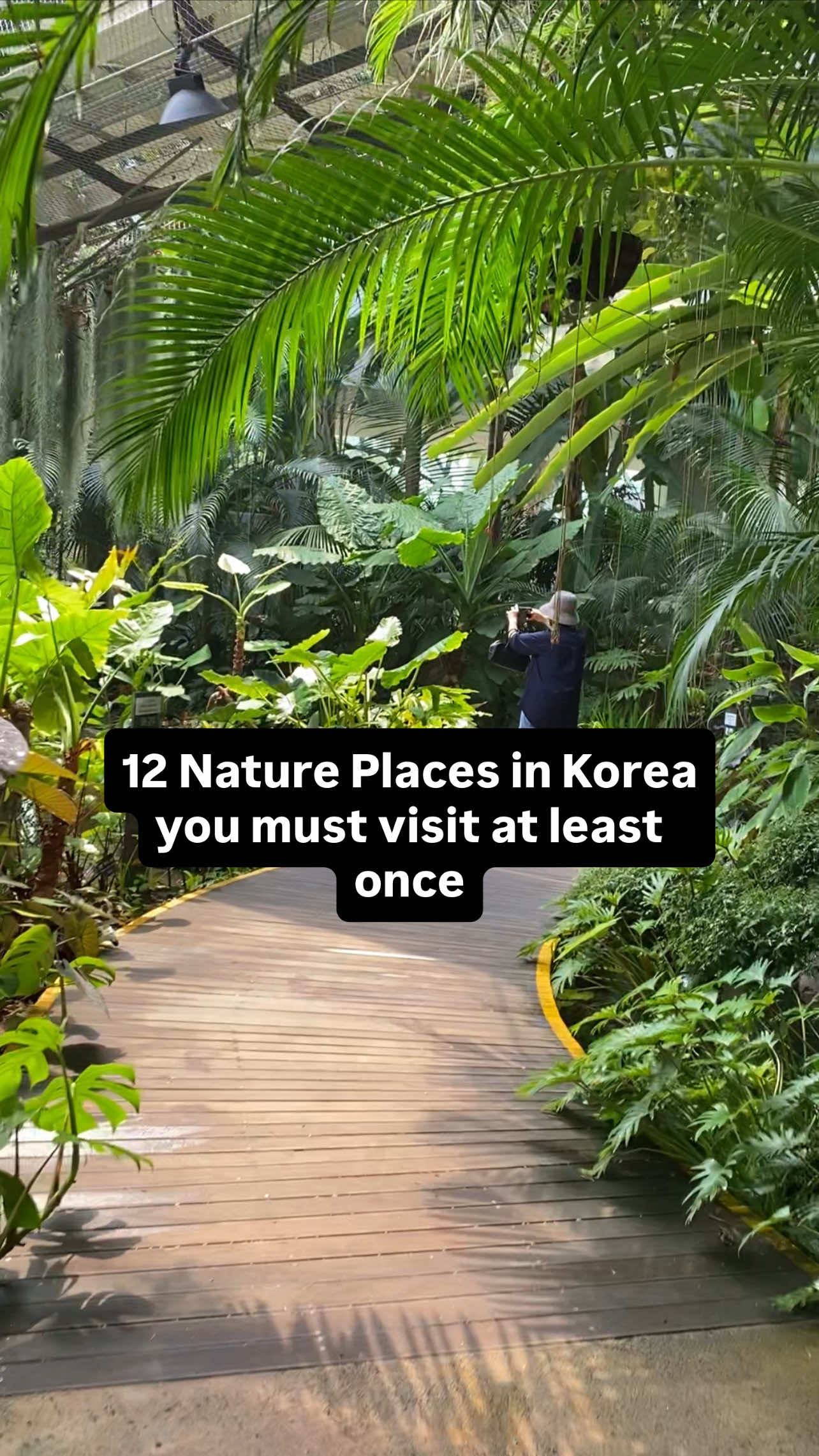Korean Nature Spots: Palaces, Parks, and Lakes