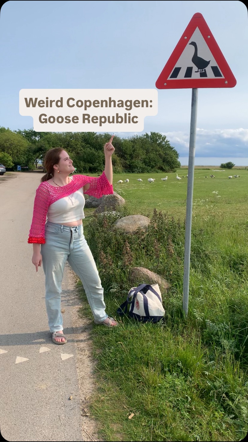 Goose Republic: A Silly Copenhagen Attraction