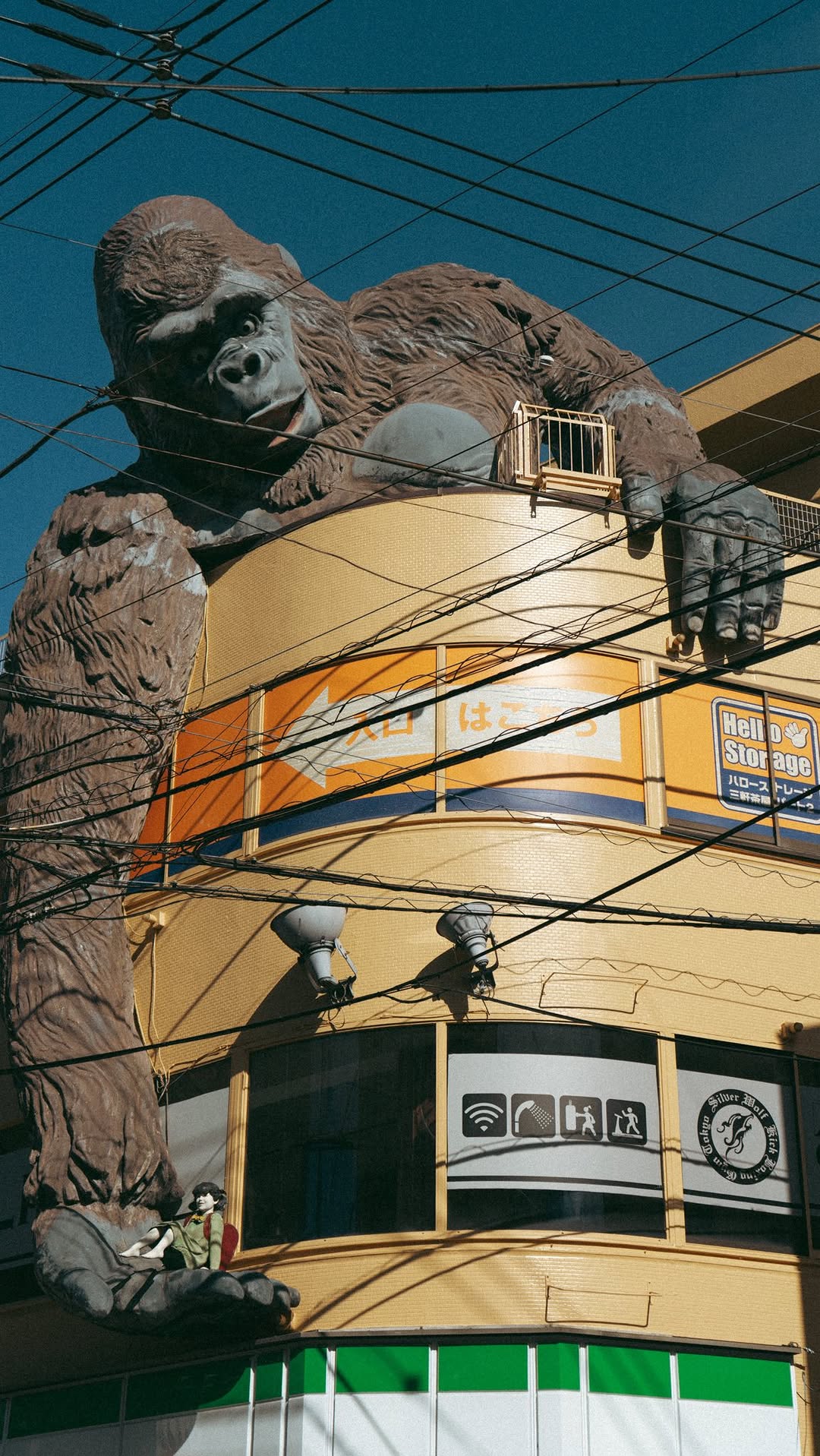12 Cafes in Tokyo