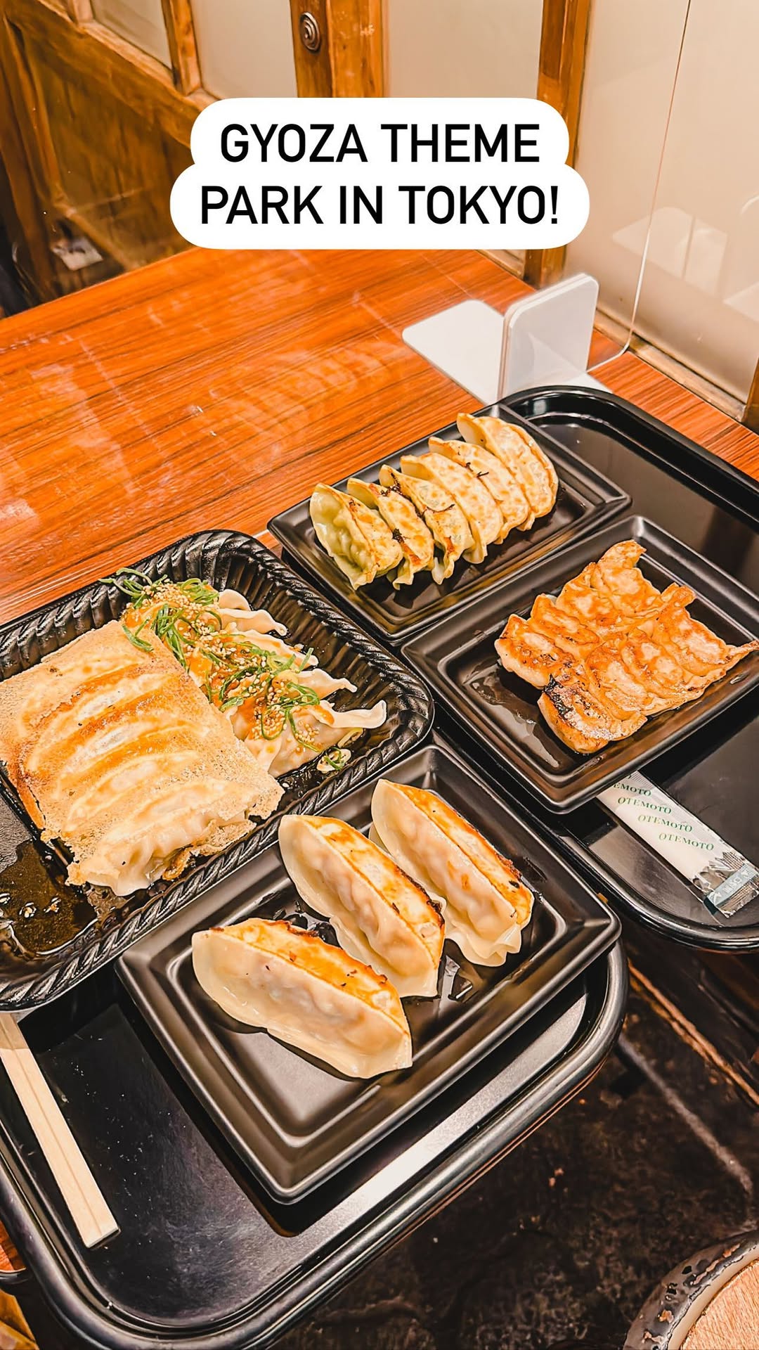 Tokyo's Gyoza Food Court Adventure