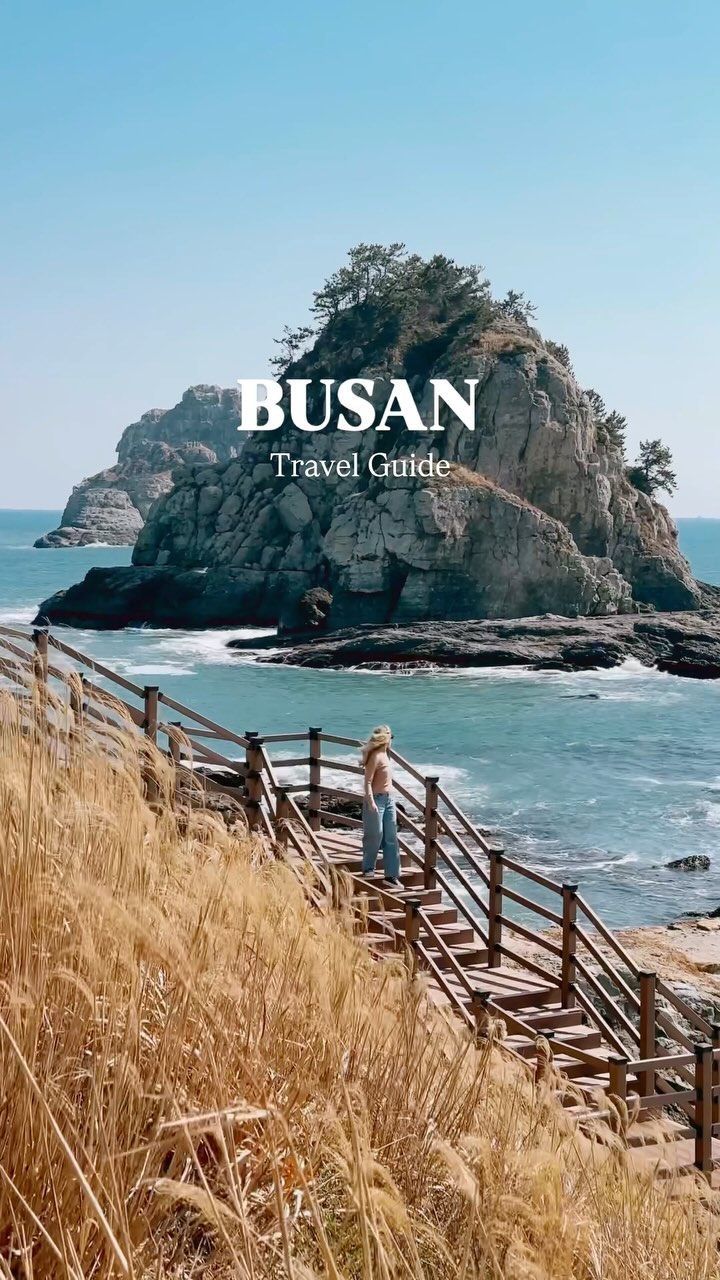 Busan's Cultural, Natural, and Culinary Delights