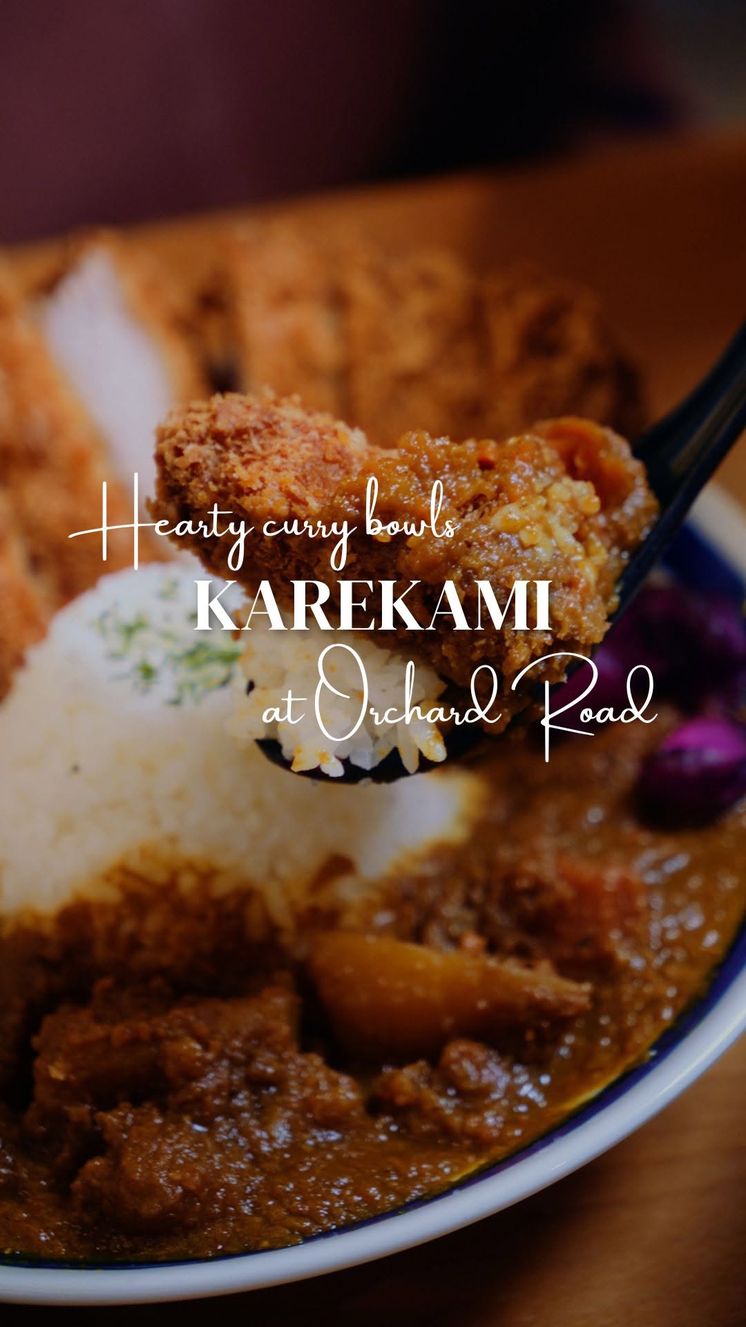 Orchard Japanese Curry Spots Feature Hearty Rice Bowls
