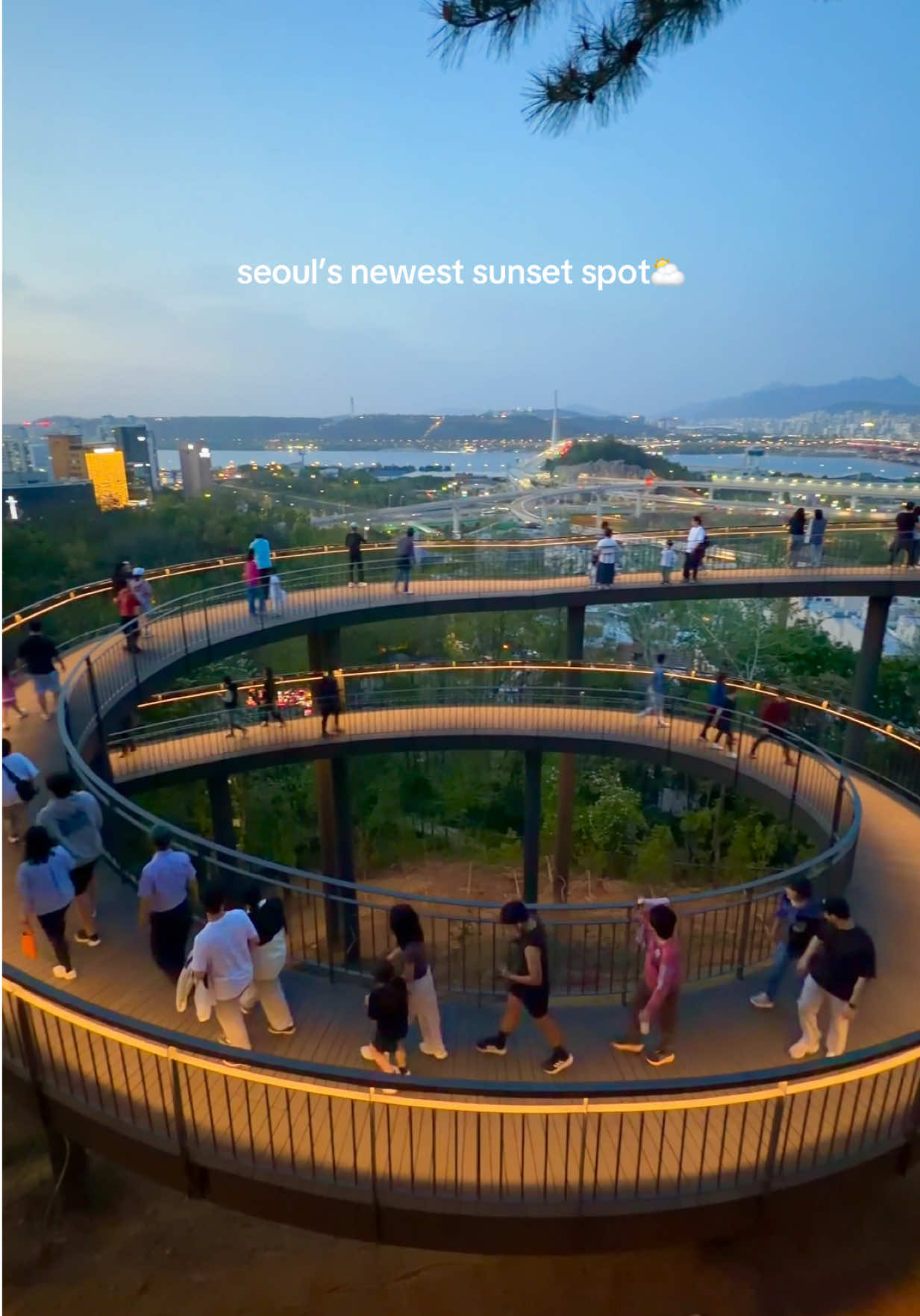 Yongwangsan Sky Walk Views