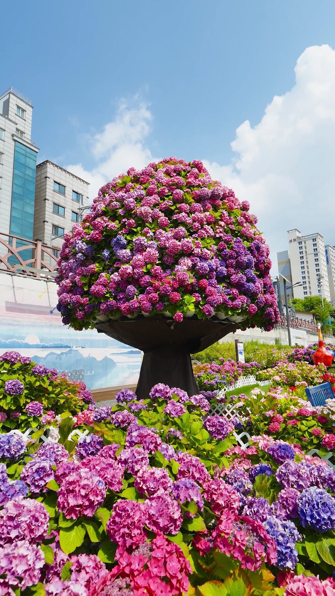 Seoul's Hydrangea Garden and Outdoor Library