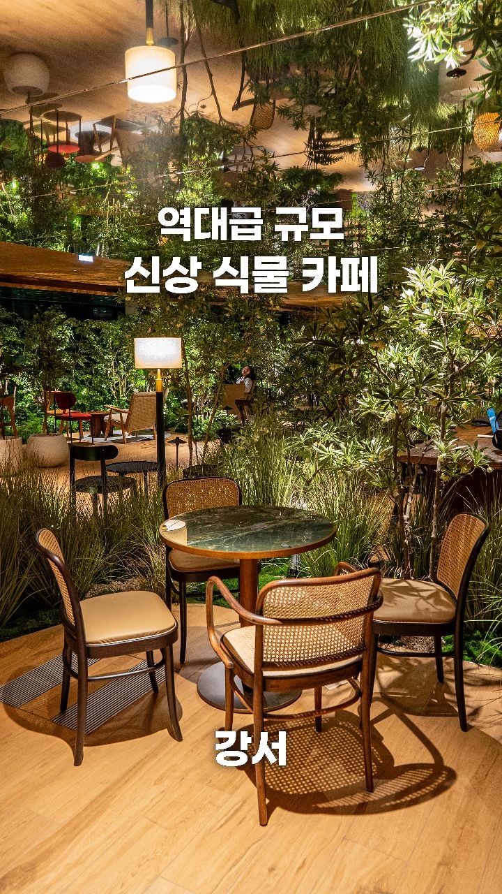 Magnificent Seoul Plant Cafe Evokes Forest Ambiance
