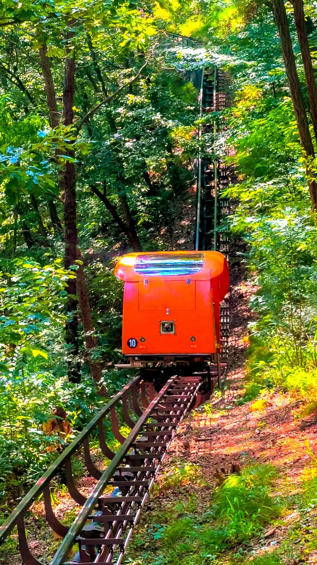 Budget-Friendly Day Trip To Jecheon