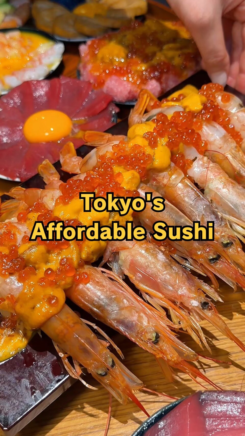 Tokyo Fisherman's Wharf Offers Great Value Sushi