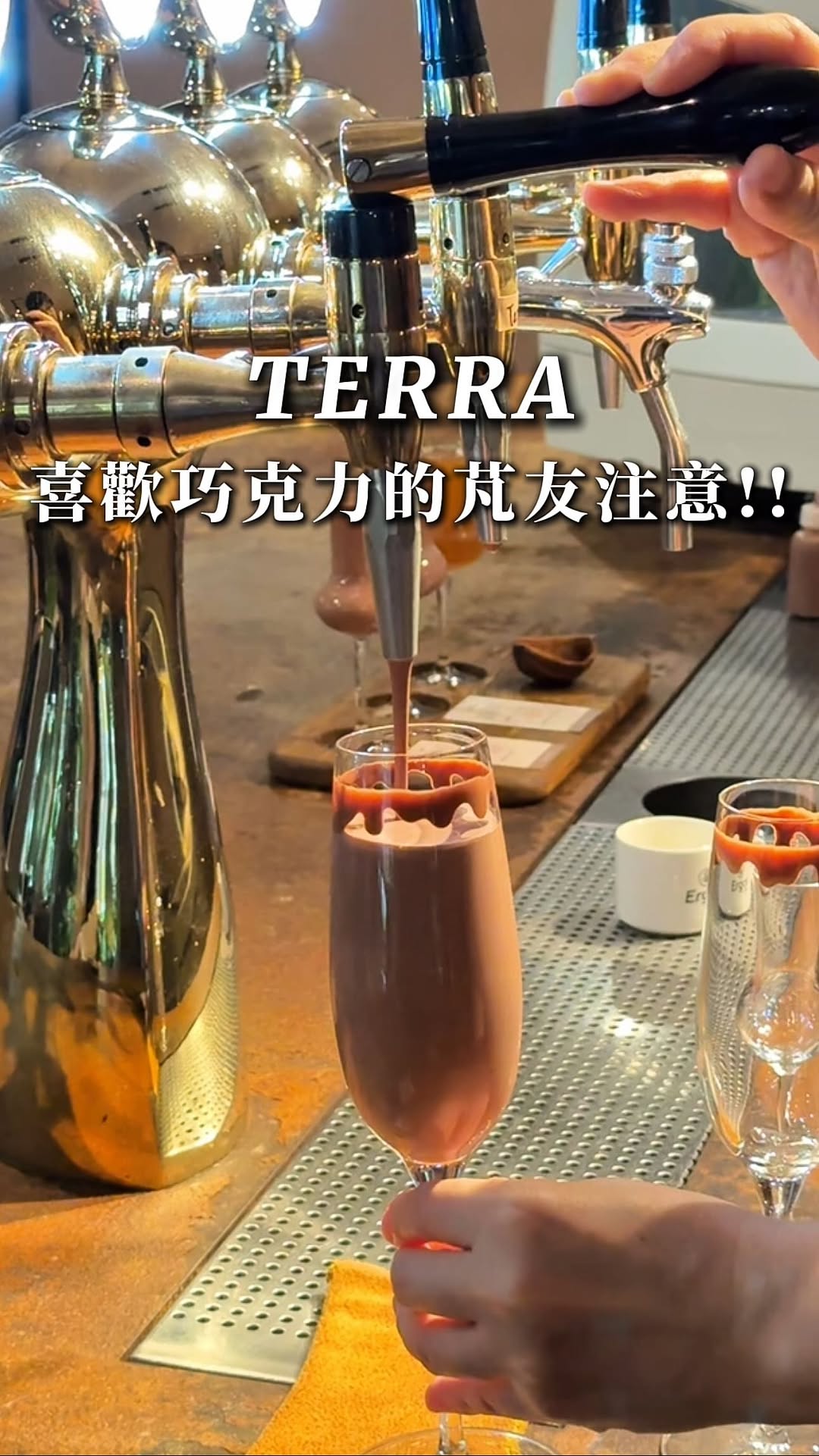 TERRA Bean to Bar Chocolate: A Cacao Haven