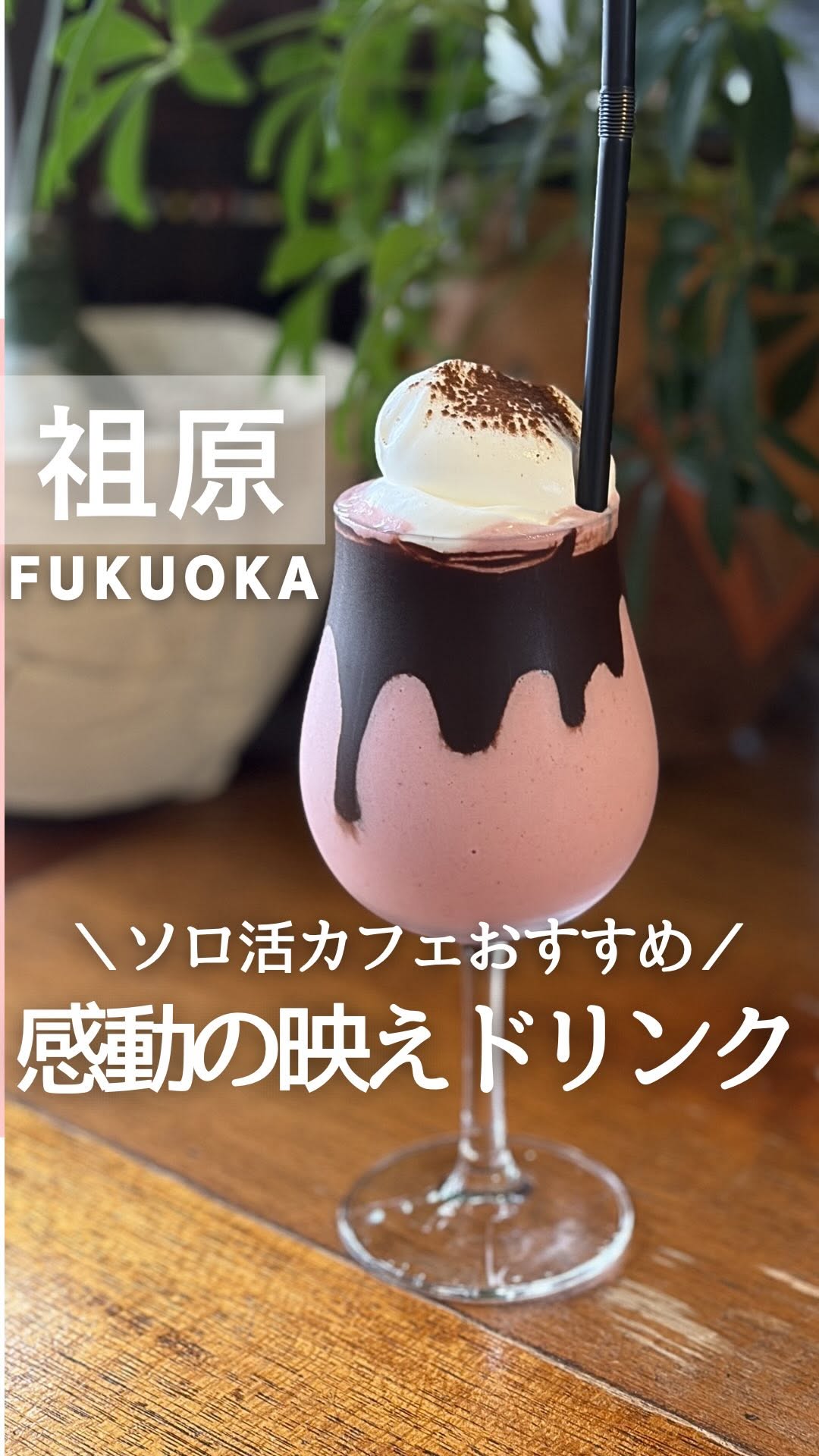 Niyol Coffee: A Solo-Friendly Fukuoka Spot