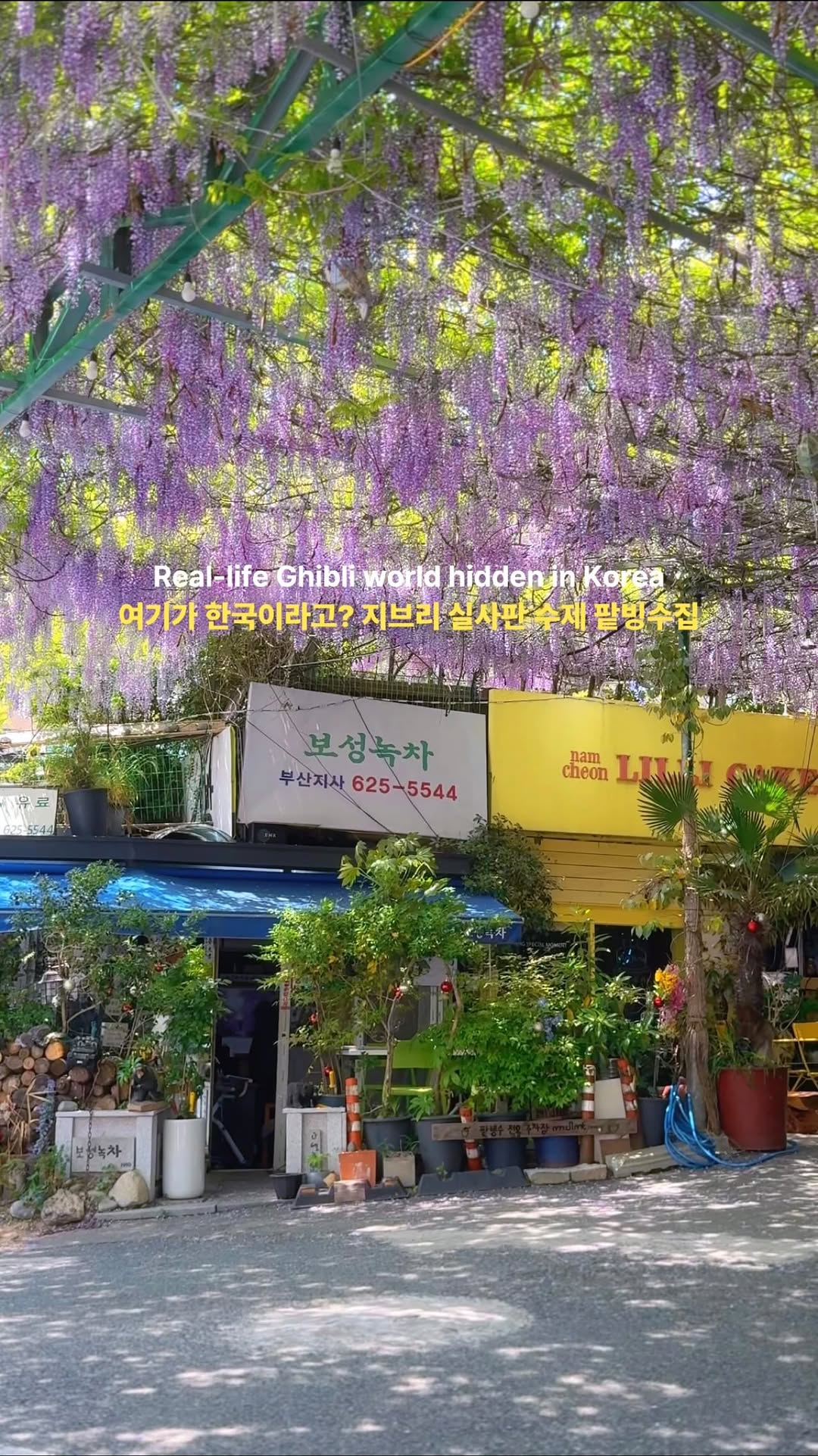 2 Dessert spots in Busan