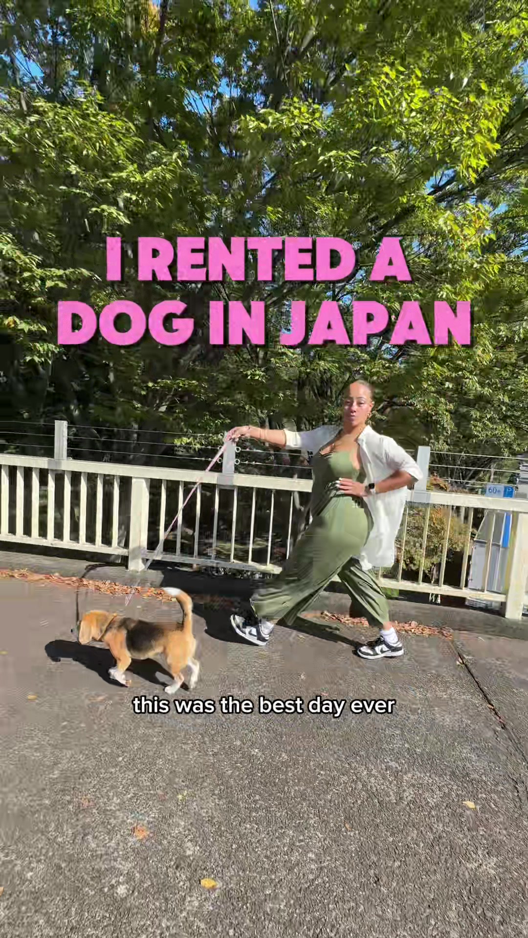 Dog Walking Services Available In Japan