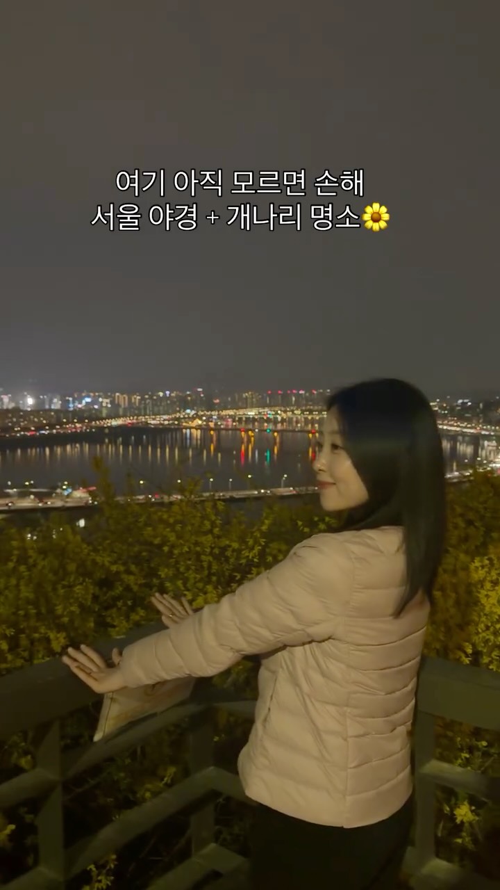 Eungbongsan Azaleas and Han River Night Views