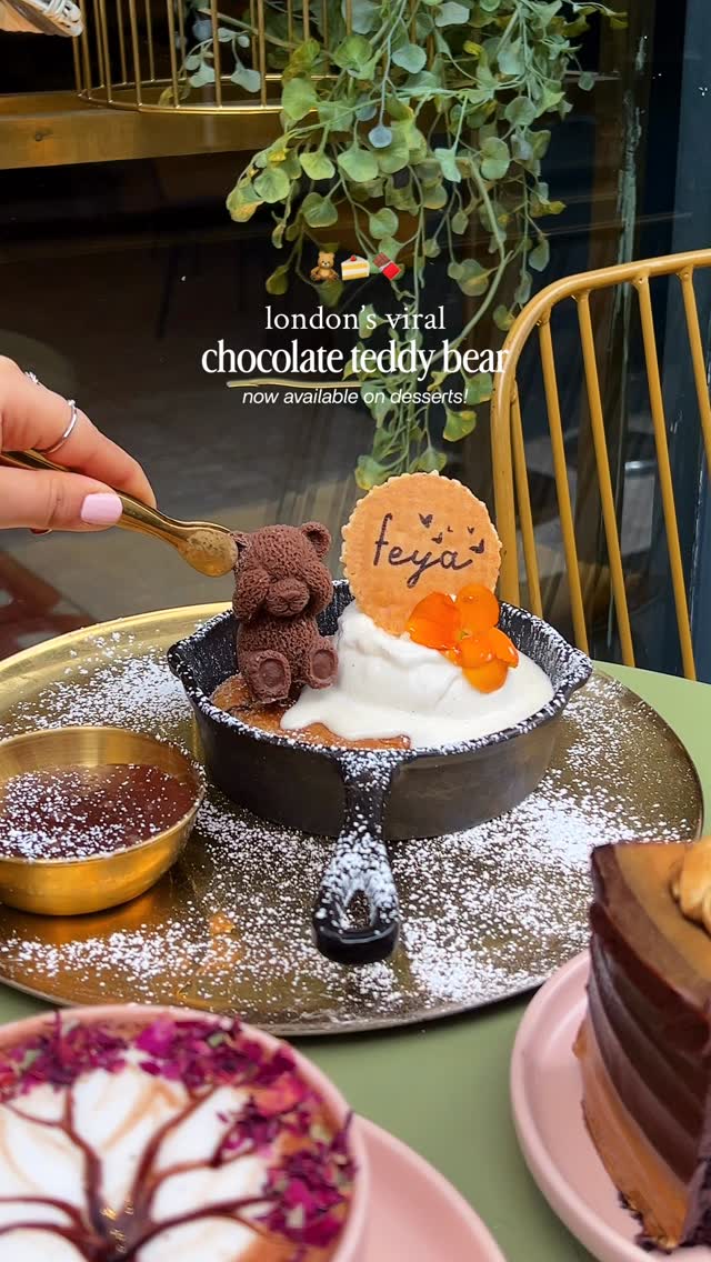 Feya Desserts Feature Chocolate Teddy Bears