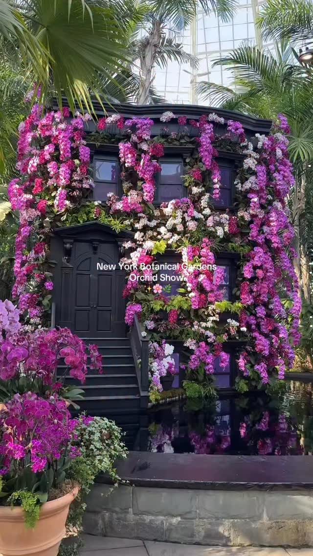 New York Botanical Garden's Orchid Show