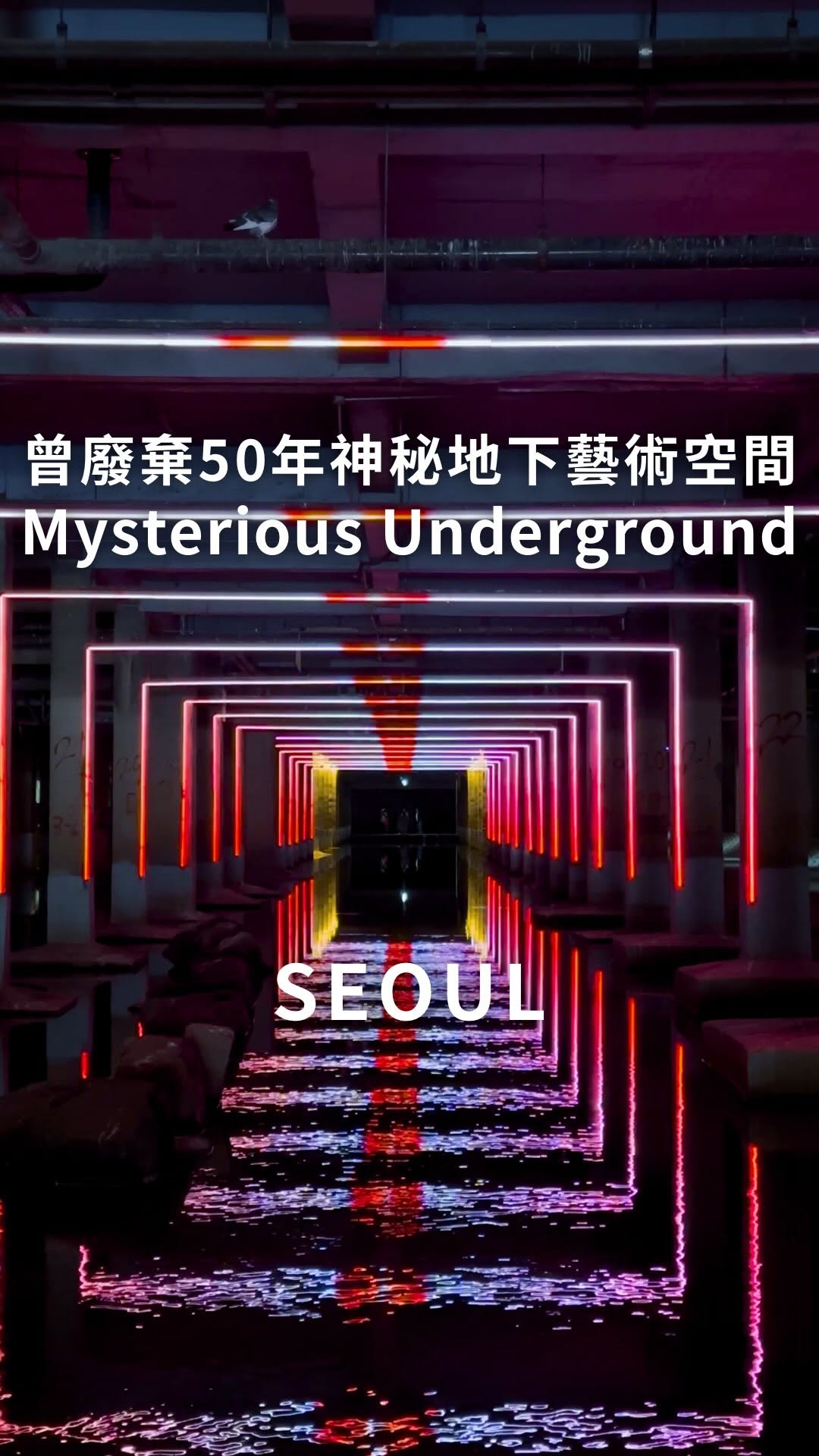 Seoul's Abandoned Waterway Becomes Unique Art Space