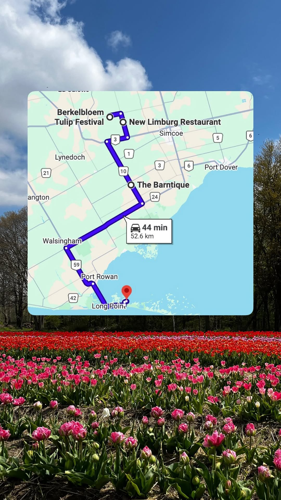 4 Restaurants in Simcoe