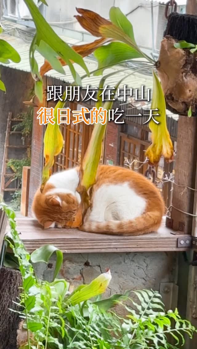 4 Cafes in Taipei City