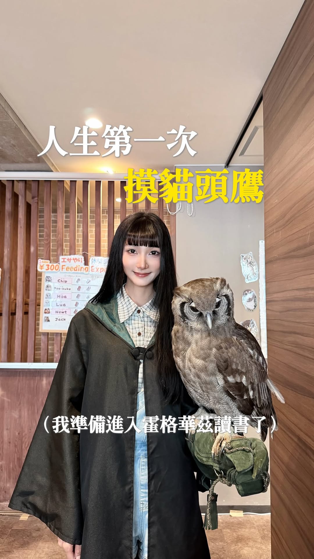 Owl Cafe Chouette's Unique Animal Encounters