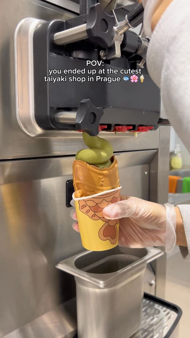 Taiyaki Bar: A Sweet Treat in Prague