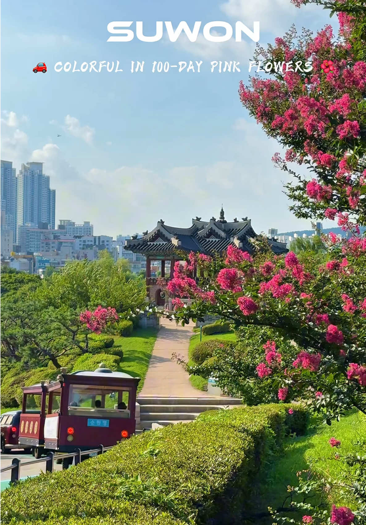 Banghwasuryujeong Pavilion Blooms Pink Flowers