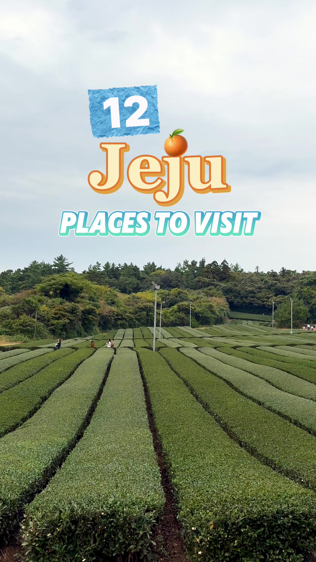 Jeju's Top Attractions: Waterfalls, Beaches, and More