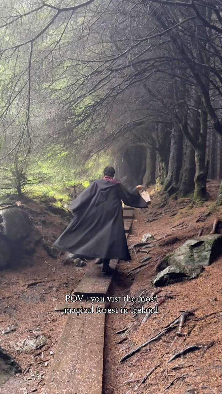 Ballinastoe Woods: A Wicklow Mountain Gem