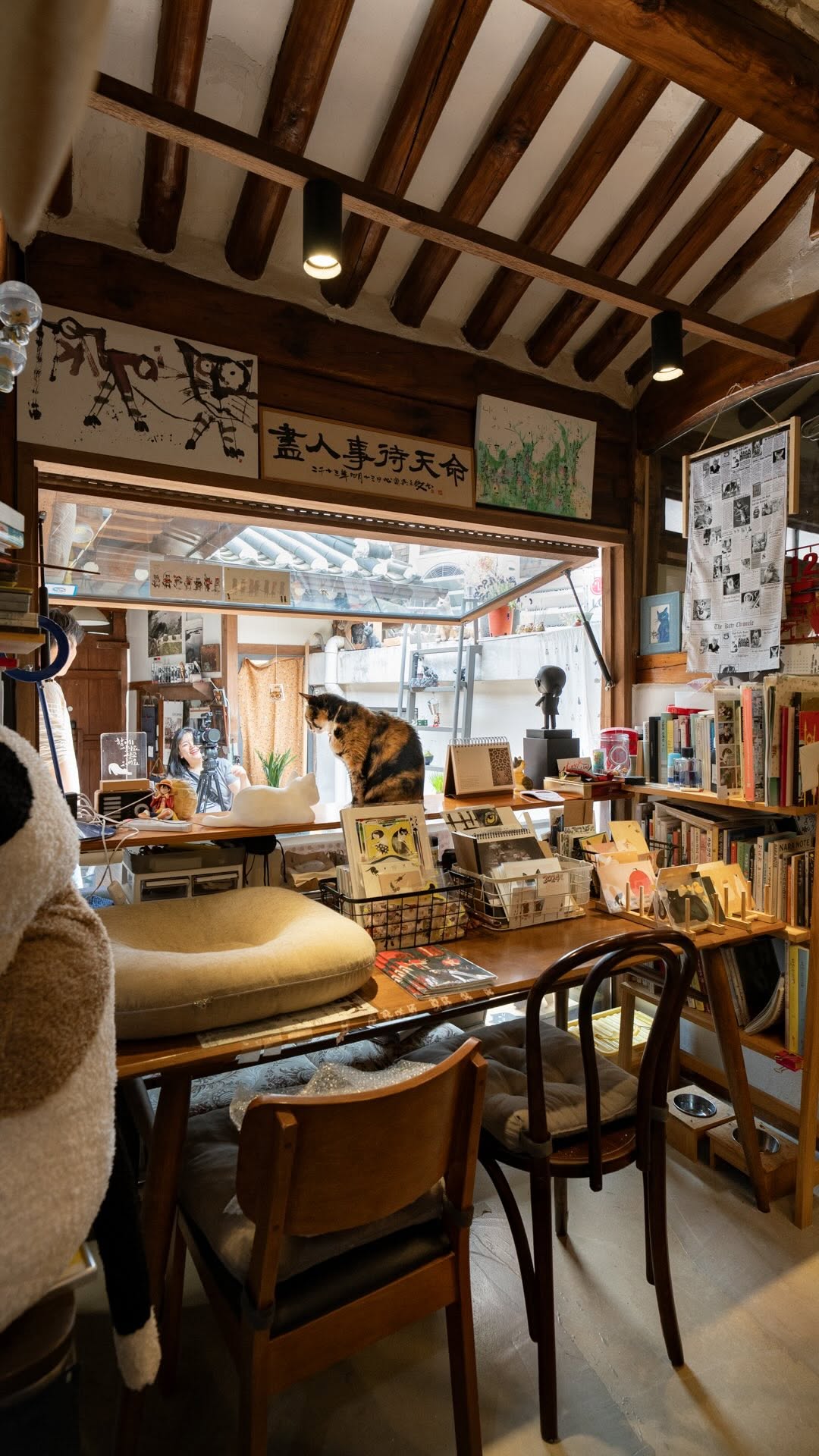 Seongbuk-dong Cat Bookstore Offers Literary Treasures