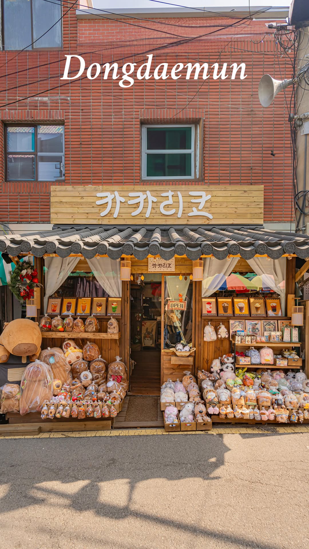 Capybara Cafe and Dongmyo Attractions