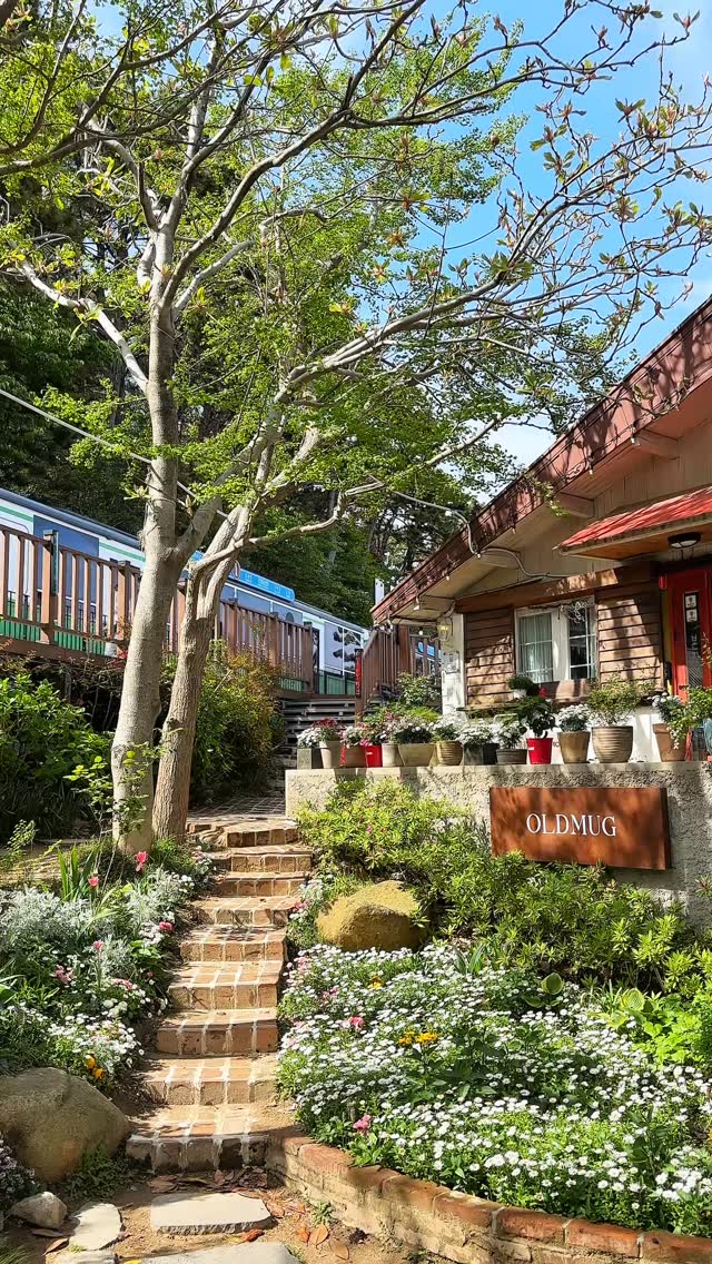 Forest Cafe With Ghibli Vibes And Beach Train