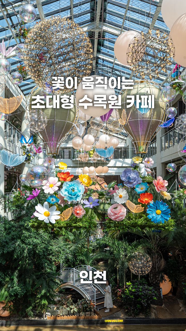 Incheon's Vast Forest Outings Cafe Experience