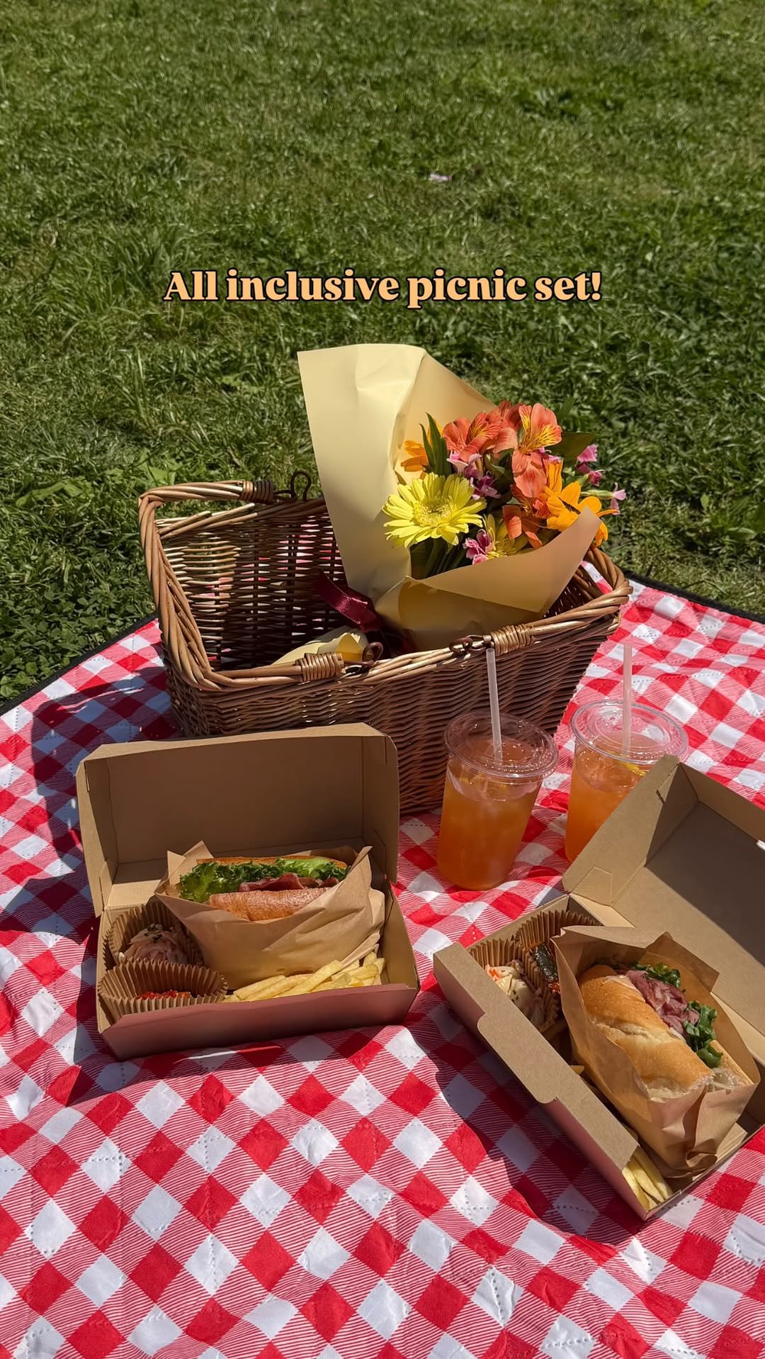 Picnic Spots with Rental Baskets in Tokyo
