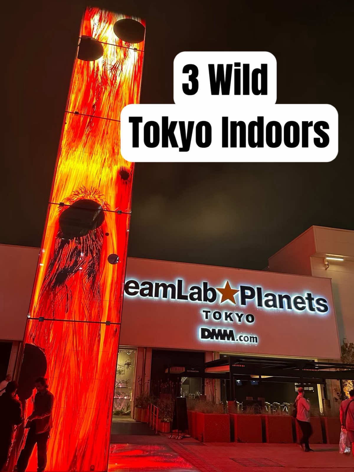 Tokyo's Immersive Indoor Attractions