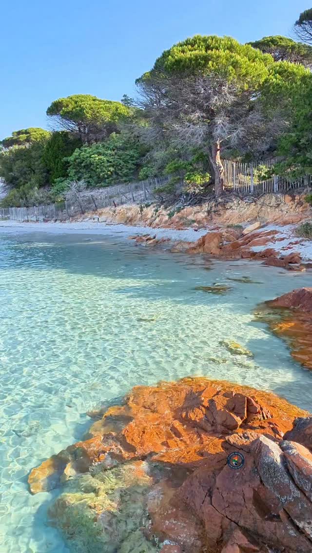 Palombaggia's Breathtaking Beach Paradise